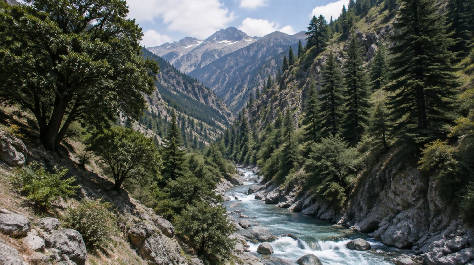 A glacial stream in a forested gorge in Chitral Gol National Park