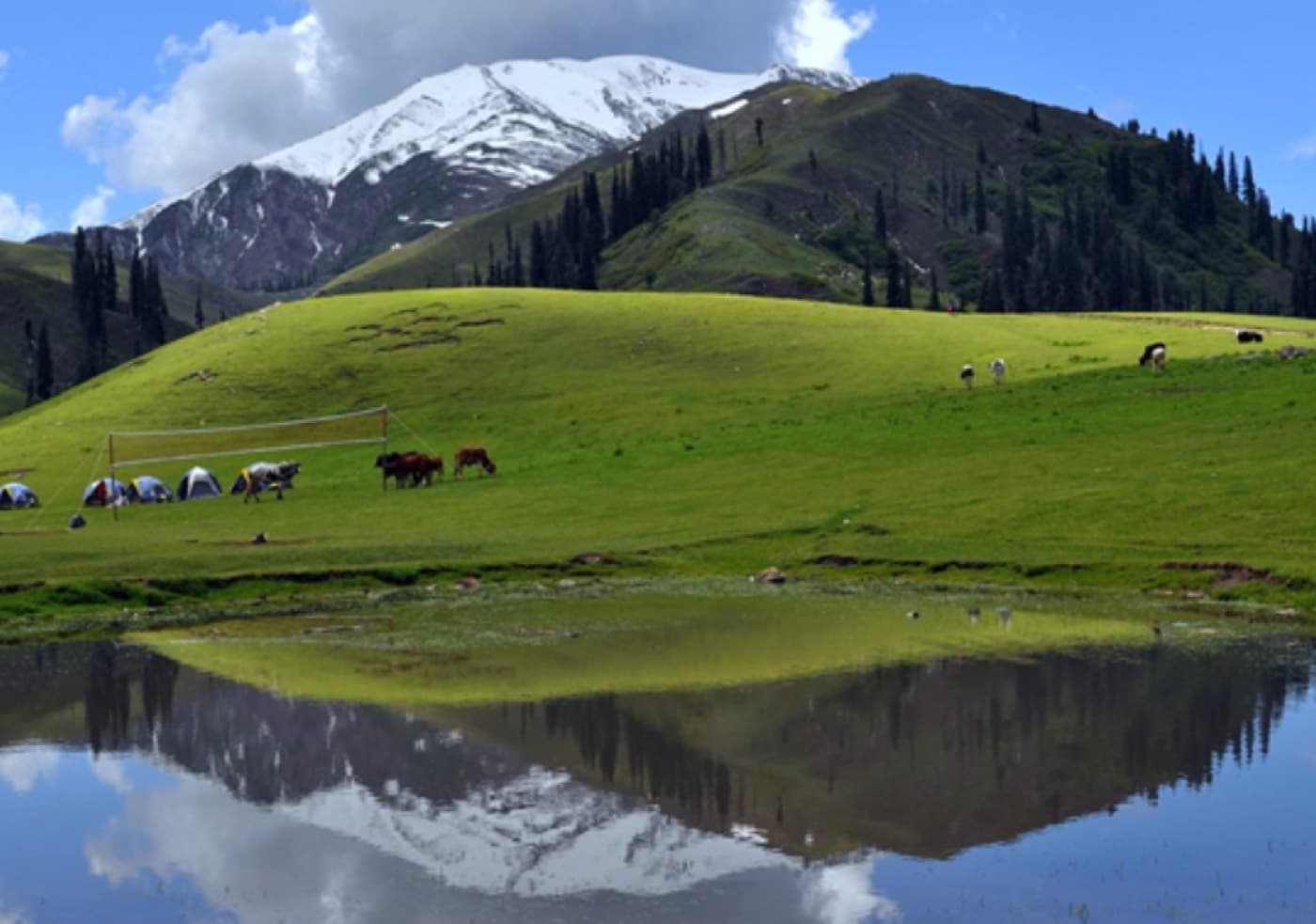 From the IBEX Instagram collection, photograph 3