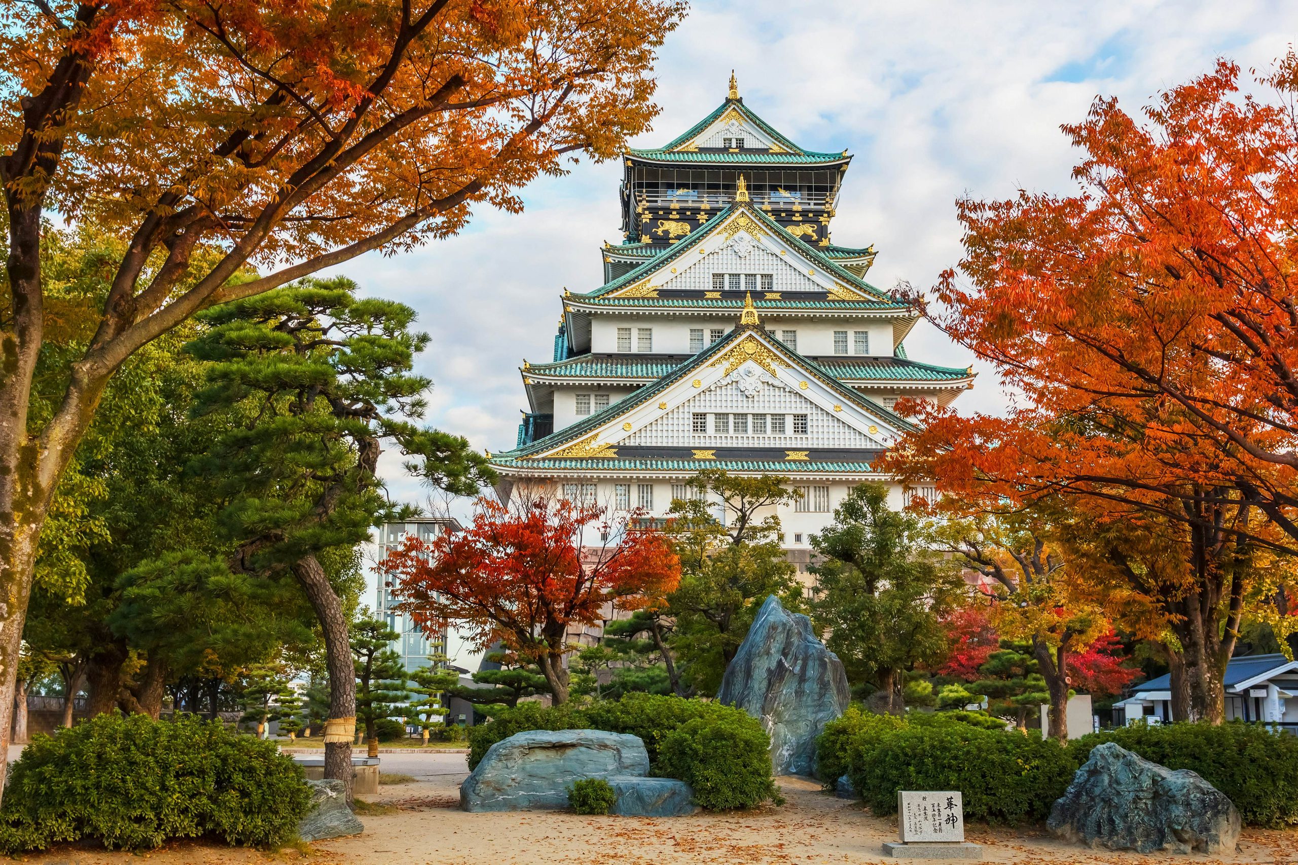 Japan Tour in June - Chance to explore Business Expo