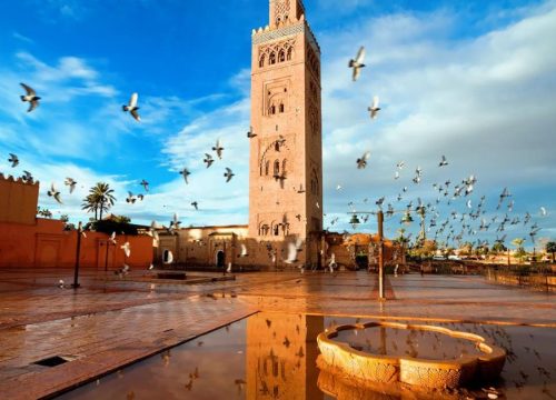 Explore the best of Morocco.